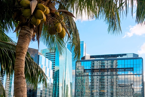 Modern Buildings in Miami Brickell District