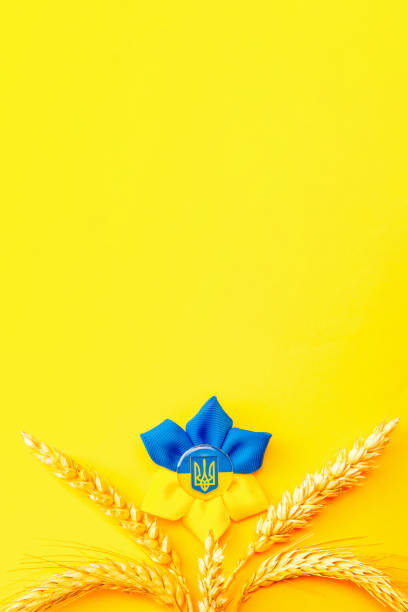 istock Ukraine symbol yellow background. Ukrainian flower trident symbol with wheat grain ear isolated on yellow. Solidarity Ukraine concept. 1397270530