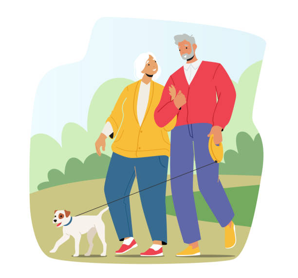 illustrazioni stock, clip art, cartoni animati e icone di tendenza di coppia di famiglie anziane che si godono la passeggiata all'aperto con l'animale domestico. personaggi sorridenti camminano con il cane al parco. uomo e donna felici - senior adult senior couple grandparent retirement