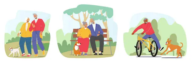 Vector illustration of Set of Elderly People Walk with Dog in Park. Aged Male and Female Characters Couple Relaxed Promenade, Sitting on Bench