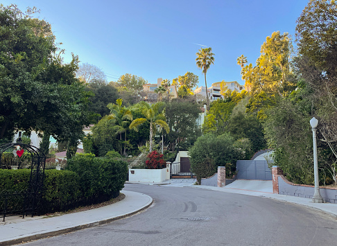View of residential street in Los Feliz, Los Angeles, california