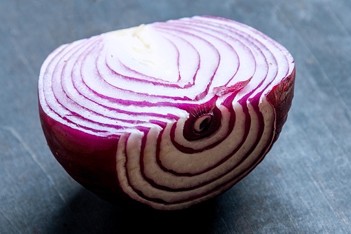 Organic Red onion close up