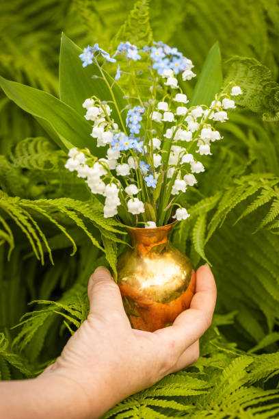 lys de la vallée en mai et myosotis dans une charmante petite cruche tenue dans la main d’une femme sur fond de jardin et de fougères vertes, fleurs printanières - may leaf spring green photos et images de collection