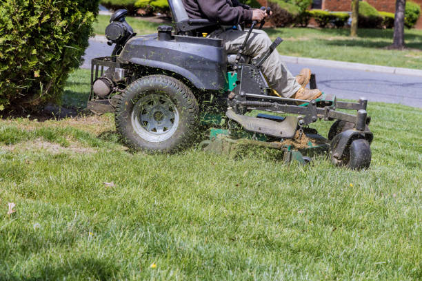 istock Worker pour grass from lawn mower garden lawn cutting 1397284752