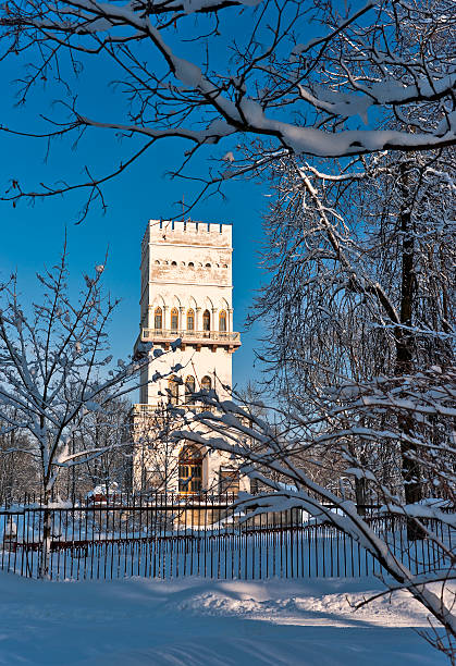 istock Tower of venetian stile vertical 139729948
