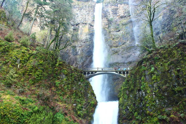 istock Multnomah waterfalls of Oregon Columbia river gorge 1397302247