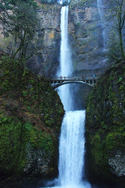 istock Multnomah Falls of Oregon Columbia river gorge 1397302249