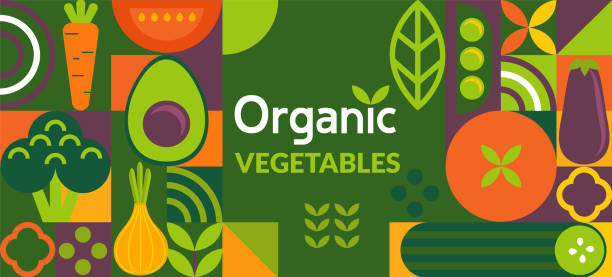 illustrazioni stock, clip art, cartoni animati e icone di tendenza di banner vegetale biologico in semplice stile geometrico - vegan food food vegetable vegetarian food