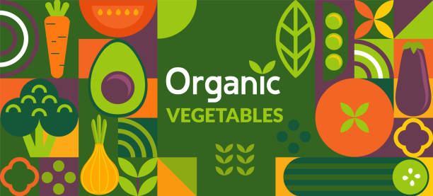 Organic vegetable banner in simple geometric style Organic vegetable banner.Natural food in simple geometric shapes,geometry minimalistic style with simple shape,figure.For flyer, web poster,natural products presentation templates, cover design.Vector legume stock illustrations