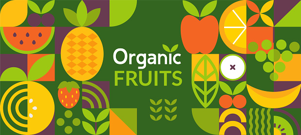 Organic fruit banner.Natural food in simple geometric shapes,geometry minimalistic style with simple shape and figure.For flyer, web poster,natural products presentation templates, cover design.Vector