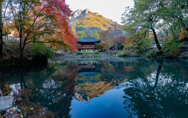 istock autumn leaves on the lakeside 1397308010