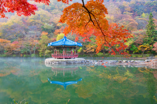 istock autumn leaves on the lakeside 1397308086