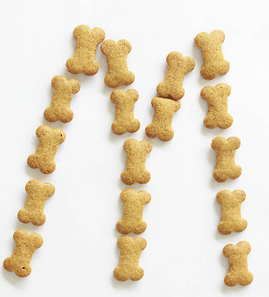 istock Bone Shape Dog food Letter M 139730987