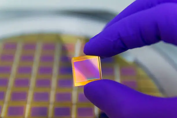 Photo of Hand in blue color glove holding microchip photo sensor matrix. On the background is diced silicon wafer with microchips. Focus on chip.