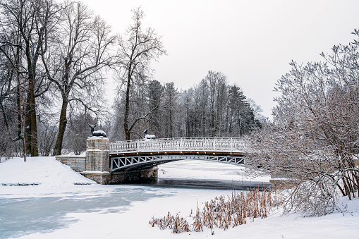 View of the Oleniy Bridge in the Pavlovsk Palace and Park complex on a winter snow-covered cloudy day, St. Petersburg, Russia