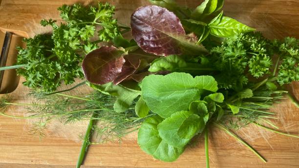 istock Lettuce leaves and parsley 1397313411