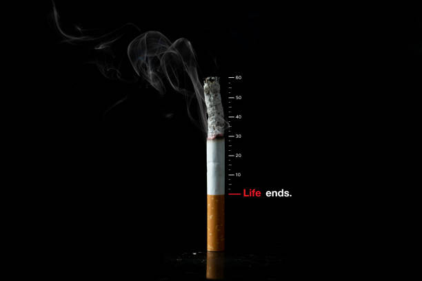 konzept zum weltnichtrauchertag. hören sie auf zu rauchen. tabakzigarettenstummel mit der niveauleiste steht das durch das rauchen verursachte lebensniveau. gesundheitskonzept je mehr sie rauchen, desto schlechter ist ihre gesundheit und ihr leben. - quit scene stock-fotos und bilder