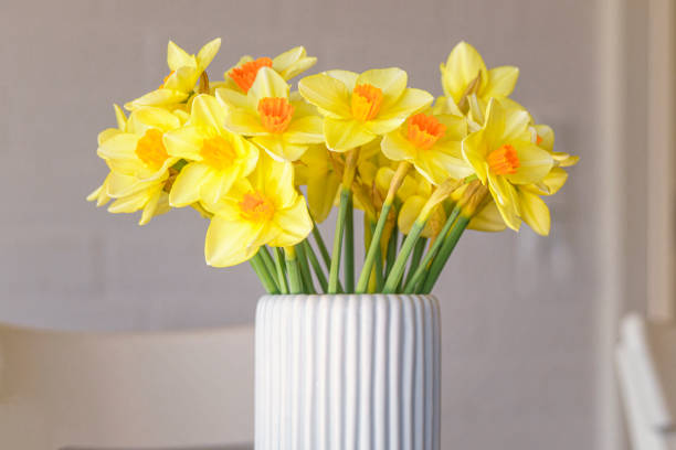 istock Daffodils in a white vase in the springtime 1397315661