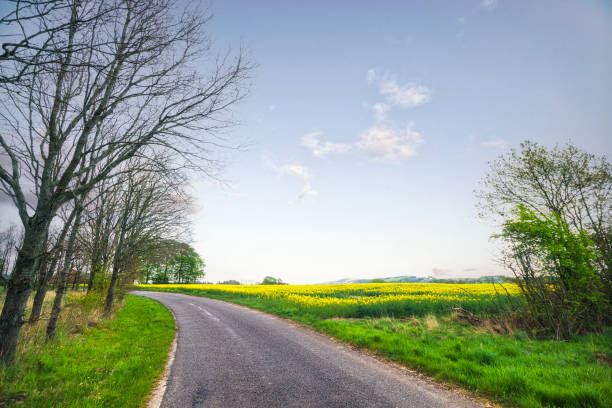 istock Asphalt road in a countryside landscape 1397315665