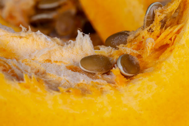 istock orange pumpkin cut into pieces on a cutting board 1397321394