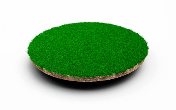 istock Grass circle isolated 3D Illustration round soil ground cross section with earth land and green grass 1397324629