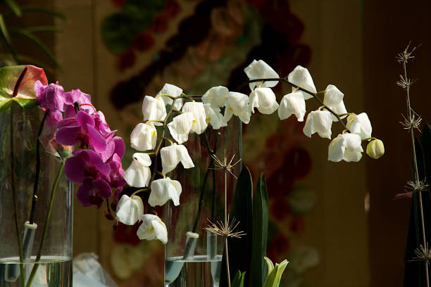 istock Bunches of Purple and White Orchids 1397325075