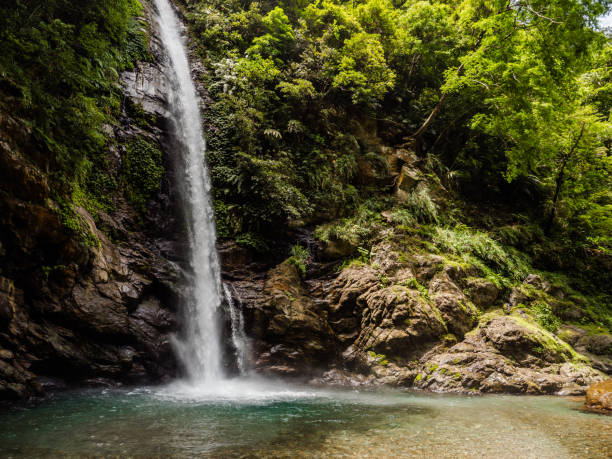 istock High waterfall in the forest in Yilan County, Taiwan 1397332224