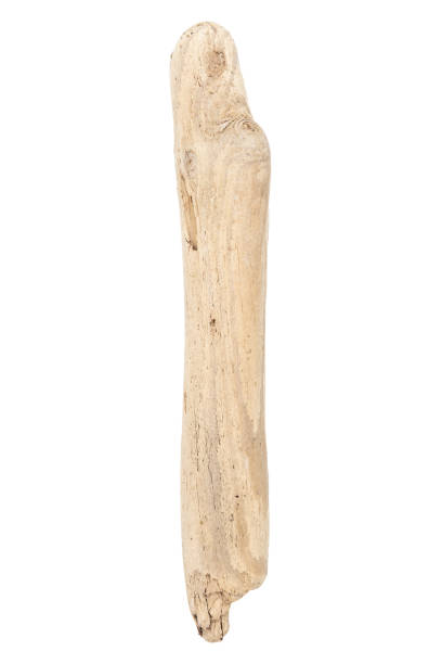 istock Piece of driftwood isolated on white 1397332324