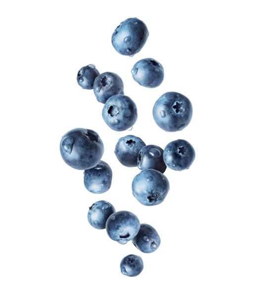 istock Blueberries with dew drops in the air on a white background 1397333580