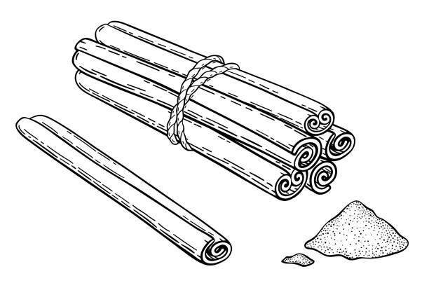 ilustrações de stock, clip art, desenhos animados e ícones de cinnamon stick vector drawing. tied bunch of cinnamon sticks and a heap of ground spice. hand drawn sketch of canella and powder. illustration in engraving style, isolated on a white background. - canella