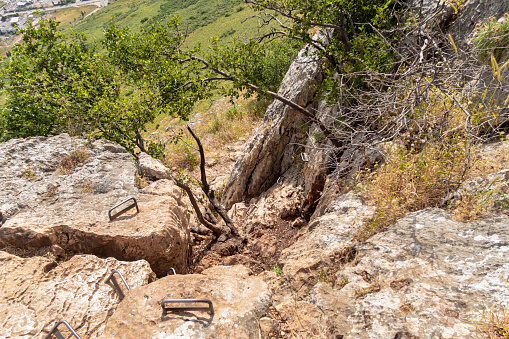 Small crooked trees grow on a tourist path on Mount Arbel, located on the shores of Lake Kinneret - the Sea of Galilee, near the city of Tiberias, in northern Israel.