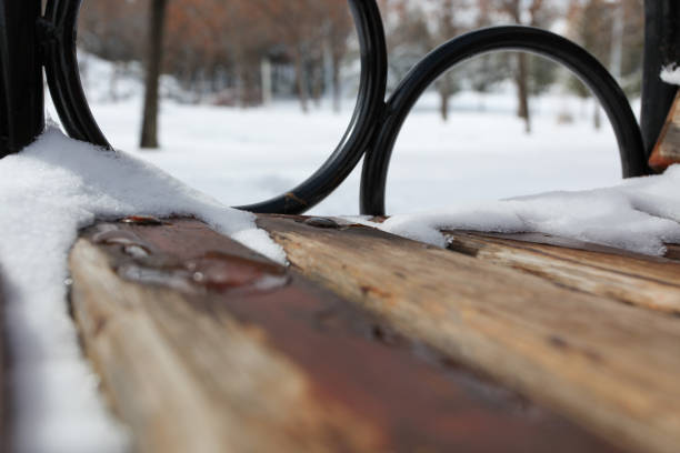 Public park under snow