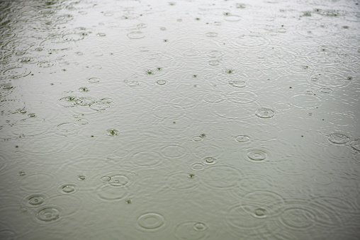 circles from raindrops on the surface of the reservoir