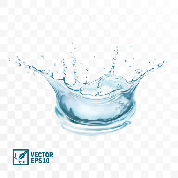 밝은 배경에 크라운 형태로 방울이있는 3d 사실적인 투명한 고립 된 벡터 물 튀김 - splashing water drop white background stock illustrations