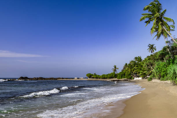 istock Foam surf on paradise island 1397342538