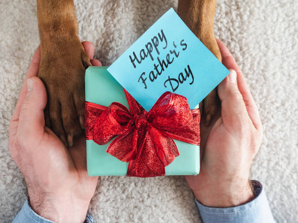istock Dog paws, male hands and gift box 1397345482