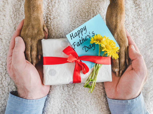 istock Dog paws, male hands and gift box 1397345493