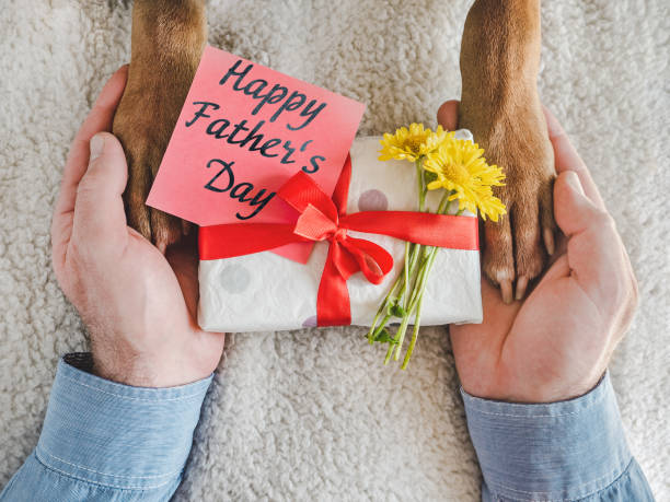 istock Dog paws, male hands and gift box 1397345526