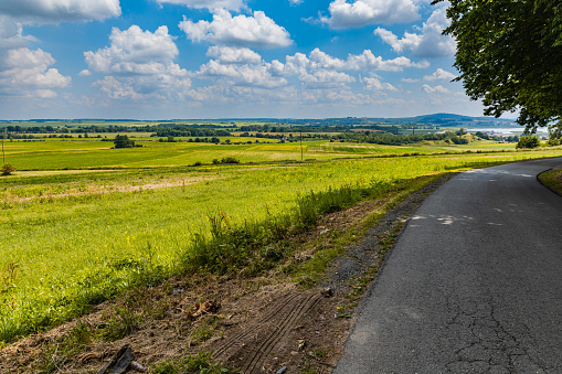 A dirt road stretches through a picturesque rural landscape surrounded by an agricultural field and trees, capturing the natural beauty and simplicity of the area on a sunny day with blue sky and white clouds.