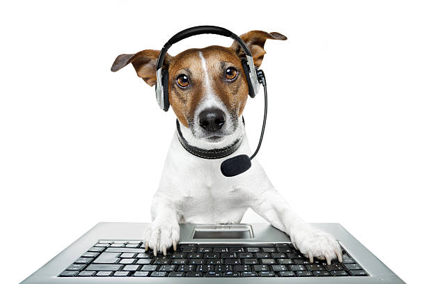 dog with headset and a pc stock photo