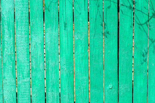 Green wood planks background, texture of old green wood planks, wooden texture. Use for design