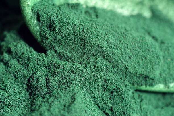 spirulina algae powder close up. superfood concept. macro photography. selective focus - chlorella spirulina bacterium algae nutritional supplement imagens e fotografias de stock