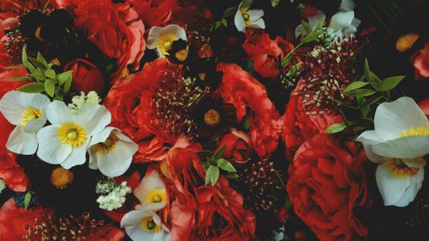 Flat view of different colored flowers in vintage style.