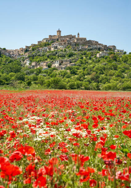 istock Poppy field in Capestrano, Abruzzi Italy 1397351021