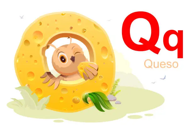 Vector illustration of Spanish alphabet letter Q cheese translation Queso. Bird owl eating cheese