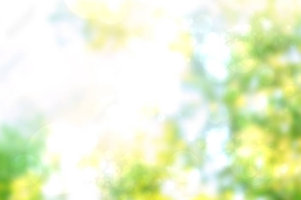 istock Green background blur,holiday new wallpaper 1397352289