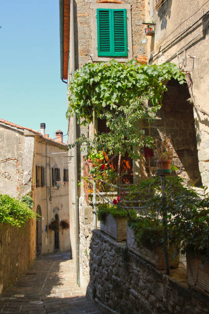 istock Arcidosso, medieval village. Tuscany Area, Italy 1397352969