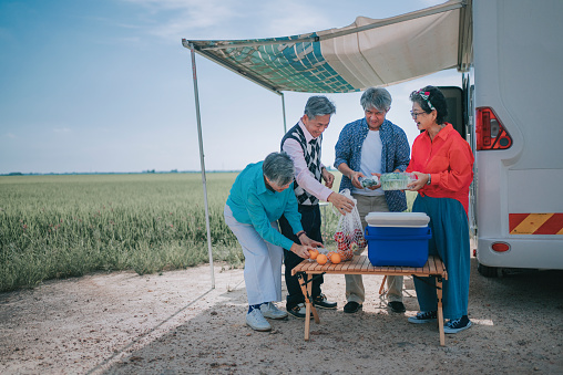 Asian Chinese senior friends preparing dinner beside campervan parked at paddy field during weekend leisure activity