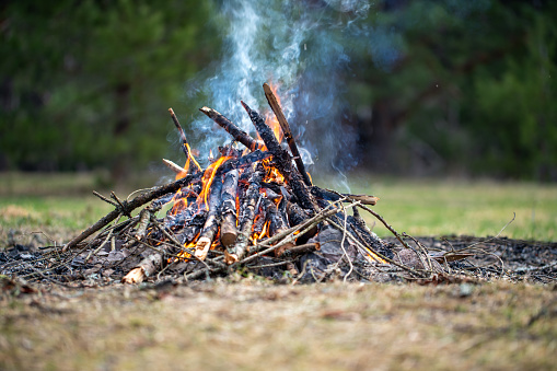 Burning campfire