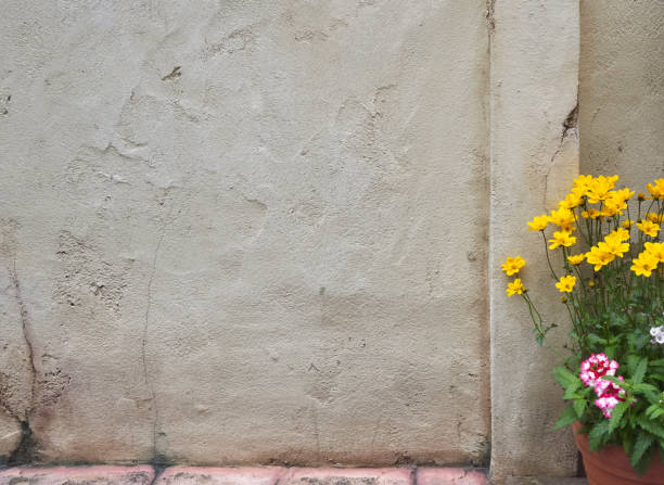 istock Flowers and old walls 1397356714